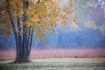 October snowfall at the Sioux Falls Outdoor Campus.