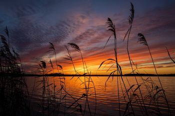 A late October sunset over Buffalo Slough near Chester.