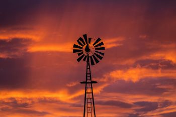 Backlit rain behind a prairie windmill a few miles northwest of Wall Lake.