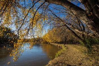 Autumn colors along a hiking trail at the Big Sioux Recreation Area near Brandon.