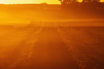 Harvest haze at sunset.