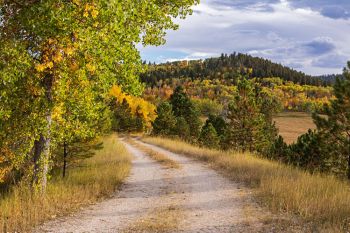 Northern Black Hills in late September.