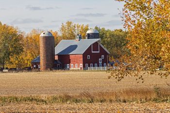 Autumn along the Big Sioux River Valley near Baltic.