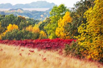 Autumn strokes based on an image taken of sumac and fall colors found at Hartford Beach State Park along Big Stone Lake in Roberts County.