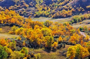 A fall scene from the Cave Hills of Harding County.