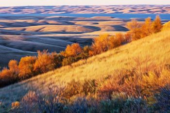 Grass, trees, shadow and water in this piece based on an image taken at first light in the Missouri River hills of Campbell County.