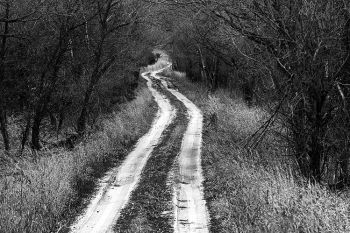 Light snow on the tracks at Lake Louise State Park in Hand County.