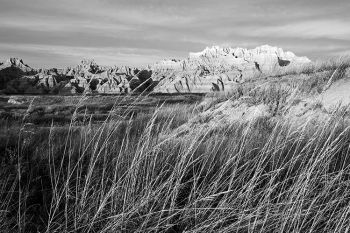 Tall grass and Badlands formations bathed in evening light.