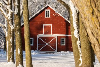 Barn framed by snow along the Big Sioux River.