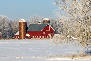 Farm scene near Baltic.