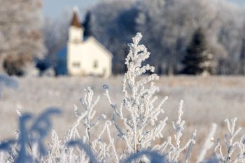 Shifting the focus to the frosted foreground.