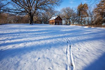 Deer tracks in the fresh snow leading to Samuel Mortimer’s cabin at Oakwood Lakes State Park.
