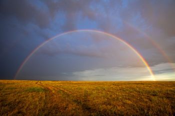 Full rainbow in rural Buffalo County in early July.