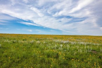 Green grass and blue skies of Grant County.