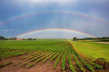 Double rainbow over soybeans in rural McCook County.
