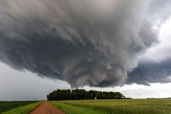 The birth of the beast.