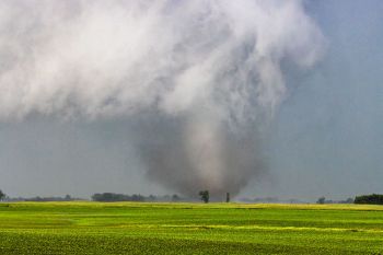 Tornado on the ground.