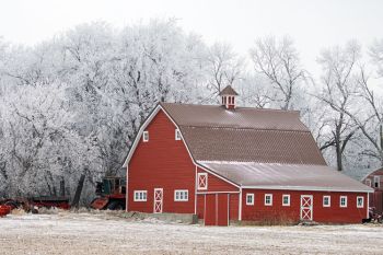 Moody County barn framed by frost.