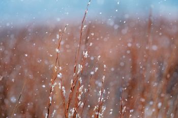 Snowfall at the Big Sioux Recreation Area.