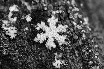 Snowflake on wood bridge at Big Sioux Recreation Area.