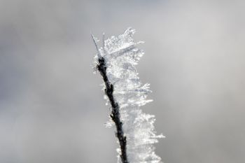 Jack Frost&rsquo;s handiwork at Wind Cave National Park.