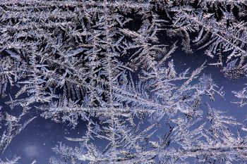 Jack Frost’s handiwork on my storm door.