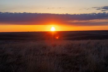 A cold sunrise as seen from my blind on the first morning.