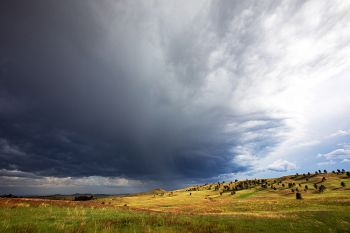 The first light after the rain at Custer State Park.