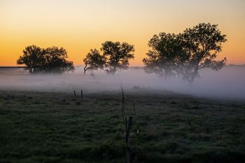 Pre-dawn mist above the Grand River near Shadehill Recreation Area in Perkins County.