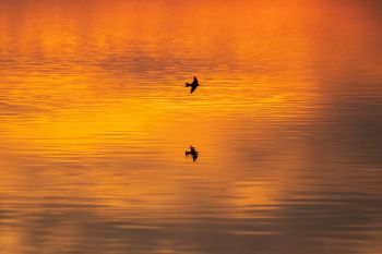 Sometimes the sky reflected on water is more beautiful than the sky itself.