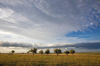 The view looking north from a back road along the Grant and Codington County line.