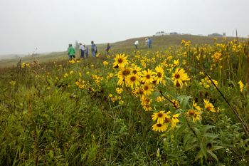 Fog over the Coteau des Prairies did not stop the tour.