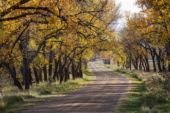 A bend in the country lane at Shadehill Reservoir in Perkins County.