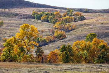 Fall in a high draw north of Little Eagle.