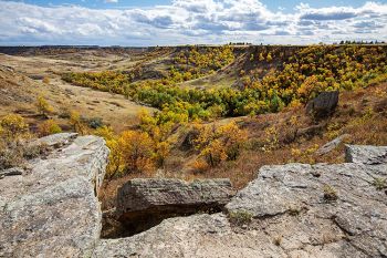 Fall color as seen in the North Cave Hills of Harding County.