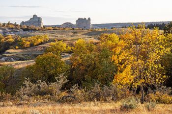 Evening light over the Slim Buttes near Reva.