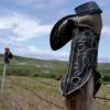 Cowboy boots provide outdoor decor near Faith.