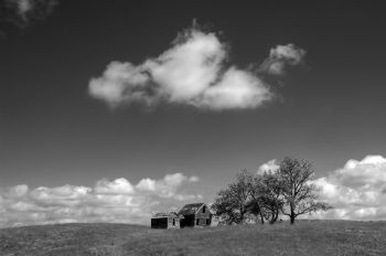 A prairie scene northeast of Waubay.