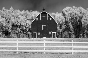 Barn with frost in rural Minnehaha County.