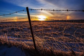 Sundogs behind an ice-encrusted fence line near Wall Lake.