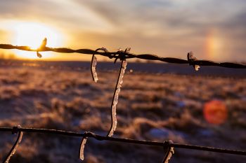 Sundogs behind an ice-encrusted fence line near Wall Lake.