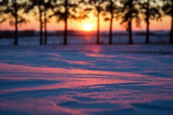 Sunset light coloring a snow drift.