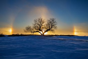 Sunset with Eminija Mound tree and sun dogs.