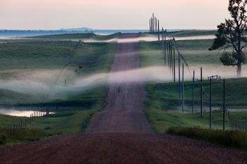 Fog fingerlings crossing a county road west of Wilmot.