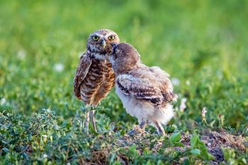 Gratitude … or maybe begging for more? The parent’s mood appears unfazed.