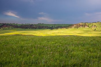 The edge of a summer thunderstorm in Wind Cave National Park.