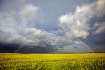 Full rainbow over prairie grass in Miner County.