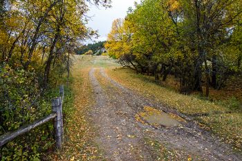 A little used road in the southern Slim Buttes.