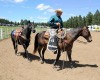 A pickup rider leads a riderless horse around the rodeo arena at the start of the 2011 Crazy Horse Stampede Rodeo.