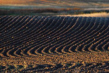 Soil in the Missouri River valley is ideal for diversified crop and livestock farming.